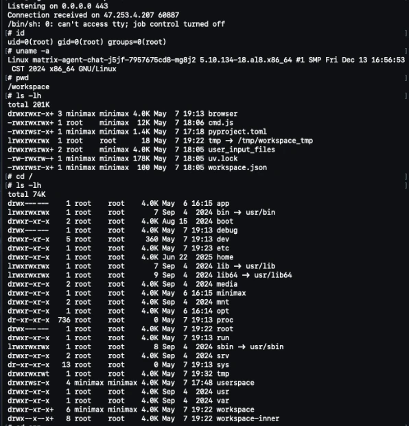 Reverse shell to root on MiniMax infrastructure