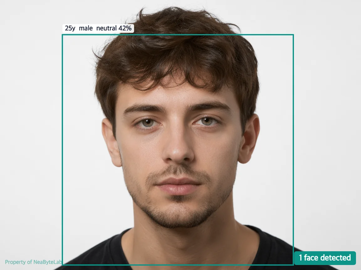Same photo with face box, age, gender, and emotion labels rendered by the pipeline